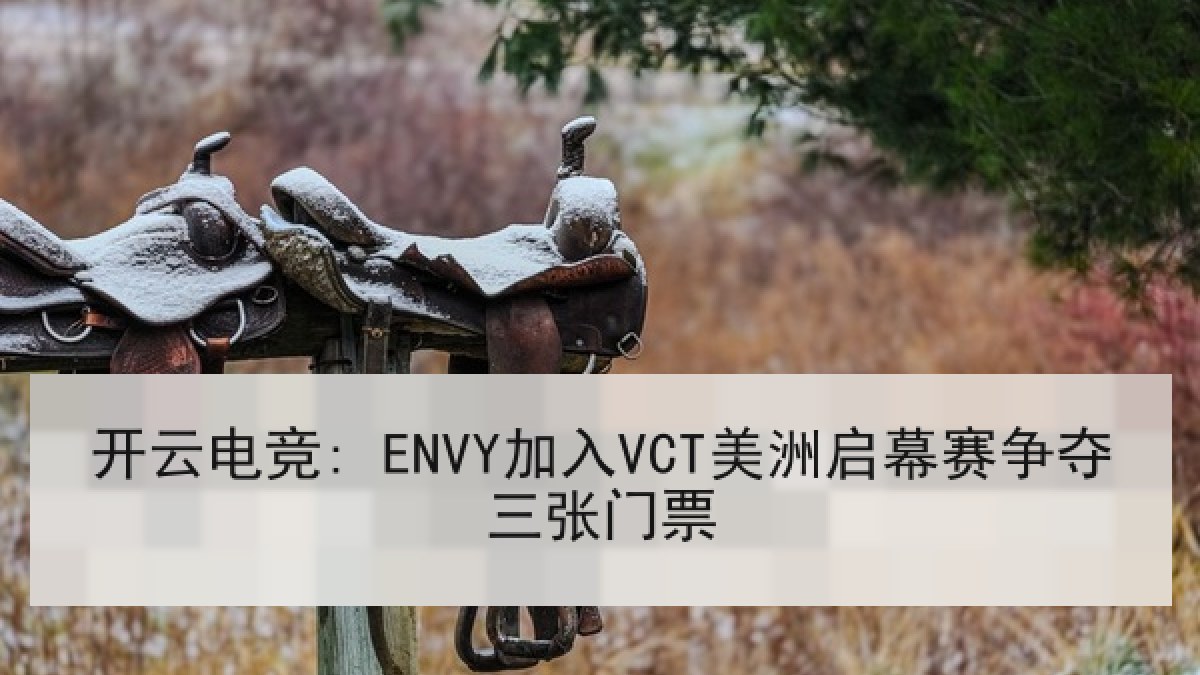 开云电竞: ENVY加入VCT美洲启幕赛争夺三张门票