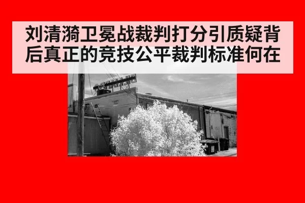 刘清漪卫冕战裁判打分引质疑背后真正的竞技公平裁判标准何在